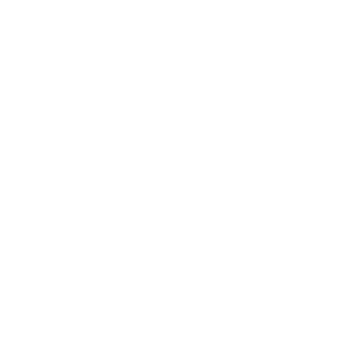 Flex logo