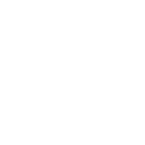 Johnson Electric logo