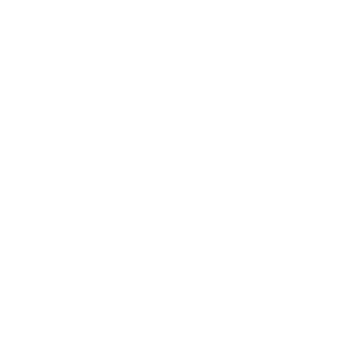 SMP logo
