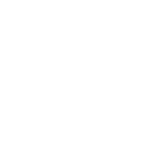 SMR logo